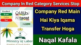 Company In Red Category Services Stop | Iqama Transfer In Red Category  Nakqal Kafala Without Appro.