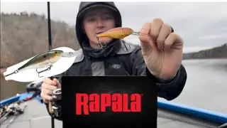 Shad Rap Setup- SPECIAL Cold Water Crankbait