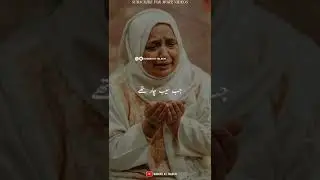MAA | Maa Ki Mohabbat | heart touching Bayan Status Molana Saqib Raza Bayan  Islamic Status #shorts