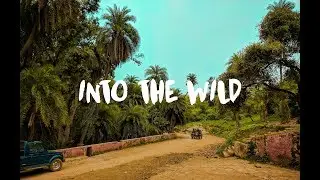 Into The Wild (Cinematic Video)