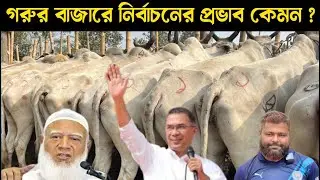 গরুর বাজার কাস্টমার শূন্য নির্বাচন এর প্রভাব কেমন। কুমিল্লার ঘাড়মোড়া বাজার থেকে বলদ গরুর দাম জানুন। 