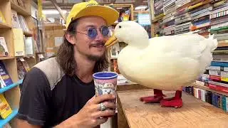 Я взяла свою уточку в книжный магазин 📕🦆