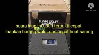 Inap top ban original