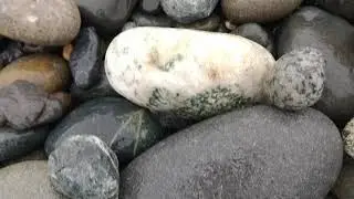 Dungeness spit Rock Music!