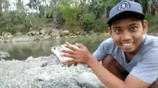 Modal Lumut, Tapi Dapetnya WowWwww besARR