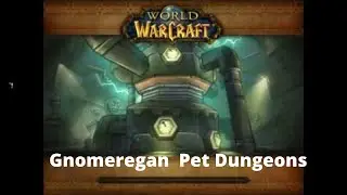 Gnomeregan Pet Dungeon