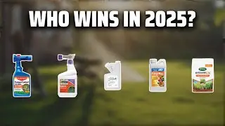 The Top 5 Best Fungus Treatment in 2025 - Must Watch Before Buying!