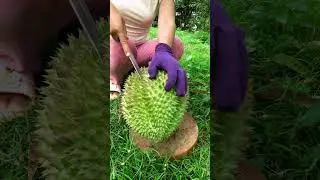 How to peel durian fruit #Shorts