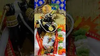 Today Radha raman ju laal darshan 🙏#vrindavan #radharaman #divine