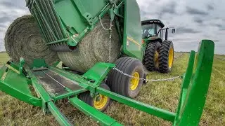 Best Hay of the Year!