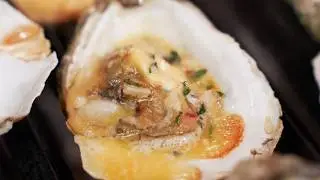 Oyster Artistry at Gaia Steakhouse | Decadent Visuals