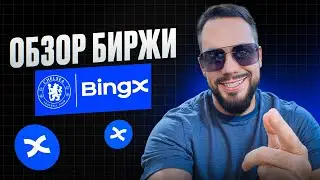 A FULL BINGX Exchange Review. A WORTHY BYBIT REPLACEMENT