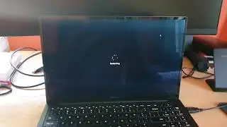 How to check for updates Windows 11