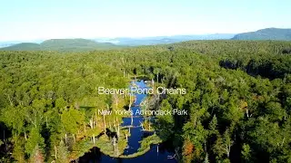 Beaver Pond Chains v4