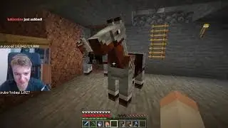 TommyInnit discovers Technoblade's horse breeding program.