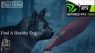 Find A Healthy Dog | Days Gone | RTX 2060 ULTRA