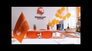 Сжато.Обзор инвестмаркетинга Империи Dominant Finance