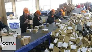 China Express Delivery: Cross-border expansion a major goal