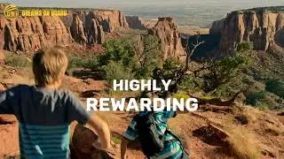 DOB Token | Blockchain Technology Made Simple & Highly Rewarding