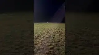 Волк атакует из темноты! #Аляска