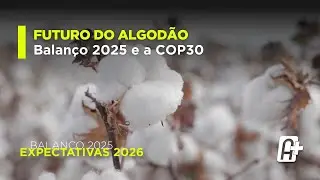 Algod&atilde;o: balan&ccedil;o 2025, COP30 e luta contra fibras sint&eacute;ticas