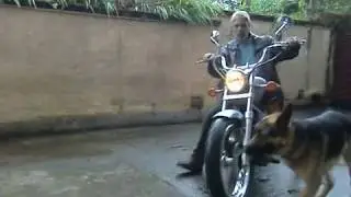 Suzuki Savage 650  Som do motor, VELA IRIDIUM