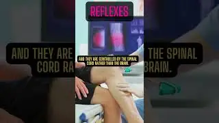 Tips No 73:Mastering Reflexes: Boost Your Skills 🏆 #Reflexes101