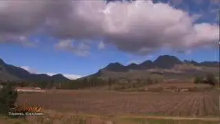 Stellenzicht Wine Estate Stellenbosch Cape Wine Lands South Africa - Africa Travel Channel