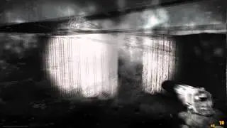 S.T.A.L.K.E.R. CoP (MISERY 2.1) - Is this a new mutant?
