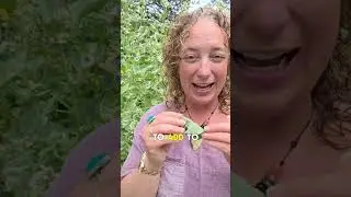 Листья алтея тоже являются лекарством?!