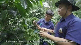 กาแฟพ่อหลวงสู่ความยั่งยืน (Royal Coffee from BCG to SDGs)