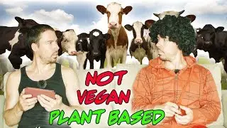 Plant Based vs Vegan: The Truth