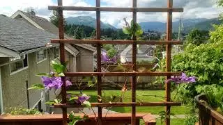 Alberniweather West Live Webcam