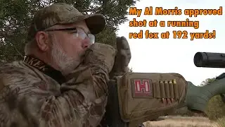 Running Red Fox Shot at 192 Yards