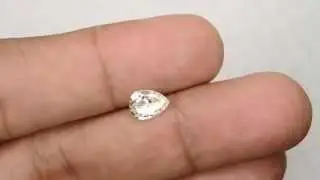 UD19