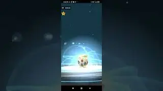 egg hatching + evolution of togepi