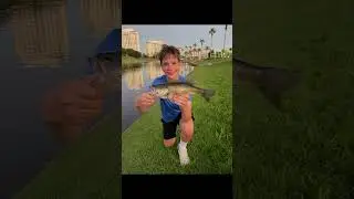 I just wanna fish 😢 #fishing #fish #summer #fishingvideo #fish
