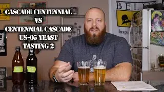 Homebrewing Cascade Centennial vs Centennial Cascade US 05 Yeast Tasting 2