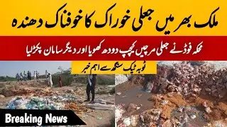 3 Units Sealed, 3 Arrested in Crackdown on Fake Food in Toba Tek Singh |فوڈ ڈیپارٹمنٹ کی کارواءی