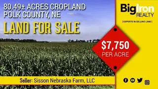 80.49+/-  Acres Polk County, Nebraska - Cropland - BigIron Realty - SOLD