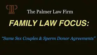 Same Sex Couples and Assisted Reproduction in Texas | THE PALMER LAW FIRM