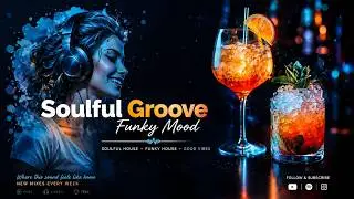 Soulful Groove - Funky Mood 001 | 1h Soulful & Funky House