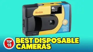 What are the Best Disposable Cameras On Amazon?