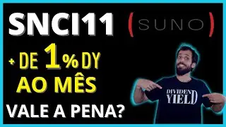 SNCI11 | FUNDO DE PAPEL DA SUNO. VALE A PENA?