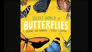 The Secret World of Butterflies - Book Review