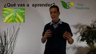 REVELANDO LOS MISTERIOS DE LA VIDA VEGETAL