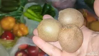 مشتريات الأسبوع من الخضار والفواكه والسمك والدجاج واللحوم والبيض والبط بالاسعار 😍💪🌹