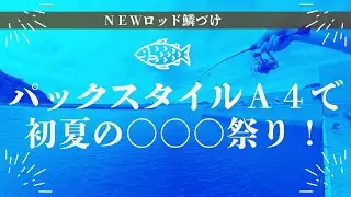 【パックロッド】パックスタイルＡ４鱗づけ【爆釣】ライトソルト初夏の◯◯◯祭り！