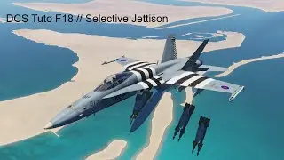 DCS Tuto F18 // Selective Jettison