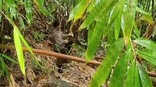 single mother in the highlands living alone in the forest
